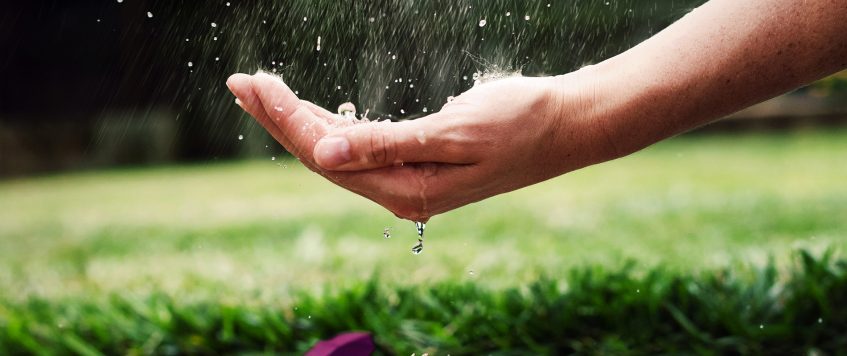 Recycler l’eau de pluie – Comment et pourquoi?